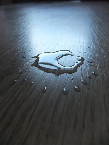 Oups ! On a renversé de l'eau par terre... Que faire ?