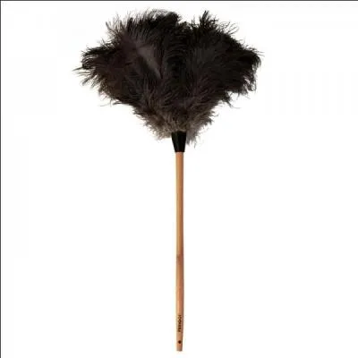 A chaque fois que je vois cet objet, j'ai bien l'impression que c'est pour ceux qui sont vraiment flemmards. Qu'est-ce donc ?