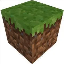 Un jeu très célèbre ! Pourtant, ce ne sont que des blocs ! Il s'agit de :
