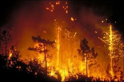 Il peut malheureusement être déclenché par l'Homme, peut tuer des animaux, des forêts et peut-être même (mais rarement) des humains. Qui est-il ?