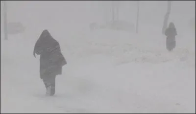 Ces deux personnes doivent fuir une...