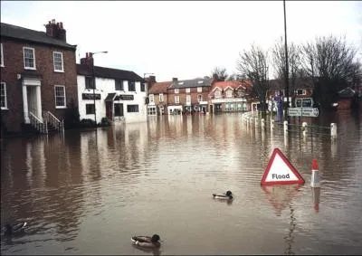Pas besoin de vous faire un dessin, vous savez bien ce qui est représenté sur la photo.