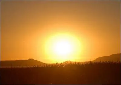 Quelle est la traduction française de "On Earth, the sun's color is yellow" ?