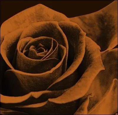 Si on mélange le rouge et le noir, quelle couleur est obtenue ?