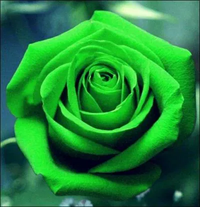 La couleur que l'on voit principalement sur cette image est la couleur de l'espoir...