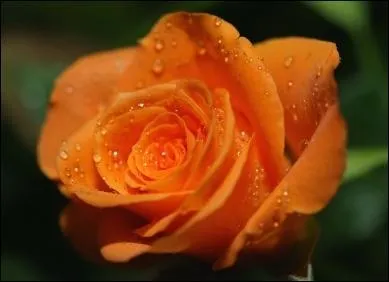 Mélange du jaune et du rouge et tu obtiendras...