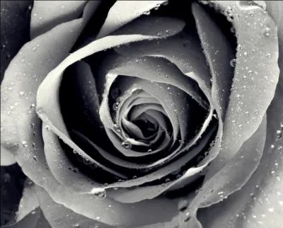 Que se passe-t-il si on mélange du noir et du blanc ?