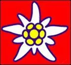 Quelle compagnie aérienne a une fleur alpine en logo ?