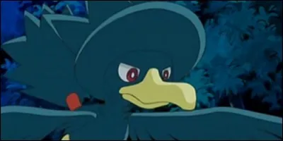 Comment s'appelle-t-il ?