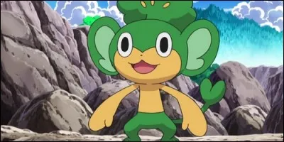 Comment se nomme-t-il ?