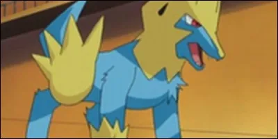 Comment se nomme-t-il ?