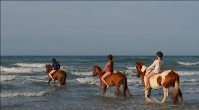 Une partie de la balade à cheval se fait dans la mer.