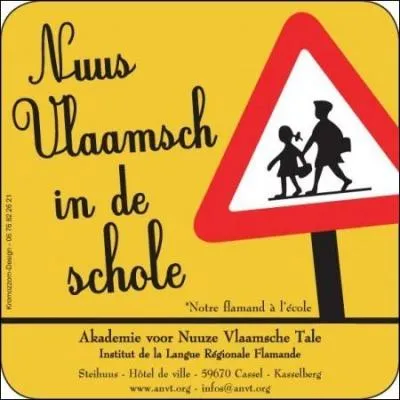 Le flamand est un dialecte :