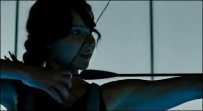 Les 75e Hunger Games vont se jouer entre les anciens vainqueurs de chaque district, ce n'est pas un hasard. Pourquoi ?