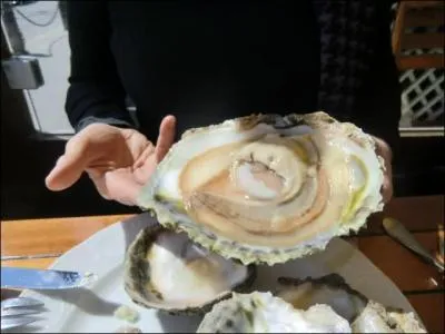 Magnifique fruit de mer, quel est le nom de cette huître énorme ?