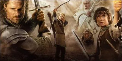 Le titre original est "The Lord of the Rings". Quel est sa traduction en français ?