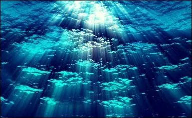 Dans l'eau de mer, il y a du sel, qui est aussi appelé...