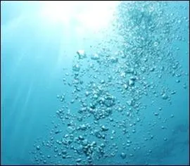 Lorsque l'on se baigne dans l'océan, il arrive que l'on avale de l'eau sans l'avoir voulu. Quelle est l'expression utilisée dans ces cas-là ?