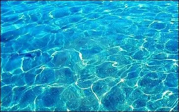 En période de multiplication des virus, l'eau de mer est...