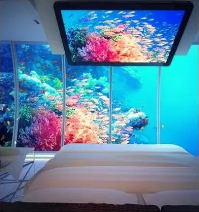 Vrai ou faux ? Il y a déjà plusieurs personnes qui ont sérieusement pensé à installer des hôtels sous l'océan.