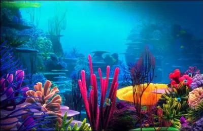 On en trouve beaucoup sous l'océan et on peut en voir sur la photo. Qu'est-ce ?