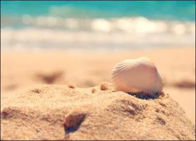Pour finir, on en trouve dans l'océan, mais on peut aussi en trouver sur les plages. On peut même en faire des bijoux. Je parle bien sûr de...