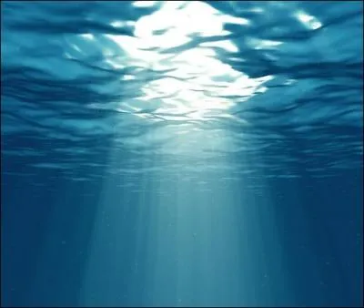 Si on boit l'eau de l'océan pendant plusieurs années, que peut-il se passer ?