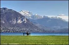 Nous en savons un qui dit : « Je suis allé à la pêche aux grenouilles et j'avais de l'eau jusqu'aux genoux... ».
Où Gerardo va-t-il donc les pêcher ?