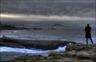 Qui chantait "Pendant que la marée monte, chacun fait ses comptes, j'emmène au creux de mon ombre des poussières de toi..."