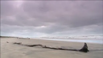 Qui chantait "Quand la mer se retire, il ne me reste rien..."