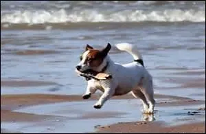 L'illustration a-t-elle à voir avec une expression liée au vocabulaire de la mer ?