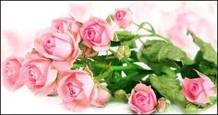 C'est le nom d'une fleur en français et c'est aussi la couleur d'une barbe à papa, c'est forcément...