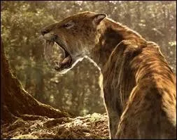 Question plus dure : je suis l'ancêtre d'un félin (sur la photo). Qui suis-je ?