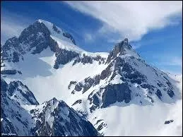 Je vis dans les montagnes et j'atteins ma maturité sexuelle en moins de 3 ans. Qui suis-je ?