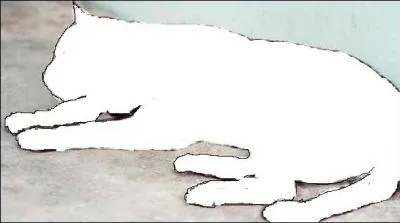 Je peux être apprivoisé, ma façon de dormir est particulière pour un félin et peut être comparée à celle d'un chien (voir image). Qui suis-je ?