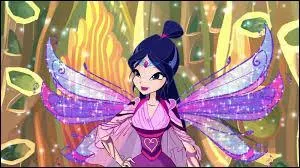 Quelle est cette transformation ?