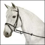 Quel est cet équipement ?