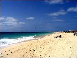 Qui a chanté "Avec la mer du Nord pour dernier terrain vague et des vagues de dunes pour arrêter les vagues" ?