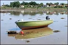 Quel est le synonyme de jusant ?