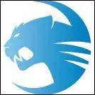 Comment s'appelle cette équipe ?