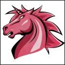 Comment s'appelle cette équipe ?