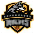 Comment s'appelle cette équipe ?