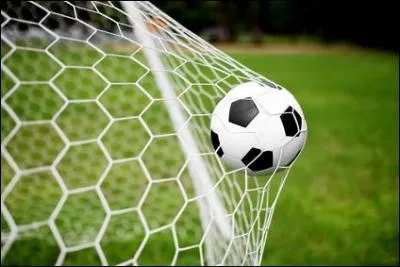 Au 30 juin 2015, quel joueur de football français a marqué le plus de buts lors d'une phase finale de Coupe du monde ?