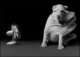 N'hésitez pas à vous tenir à proximité d'une bonne ventilation (légère), voire de vous trouver dans un lieu :