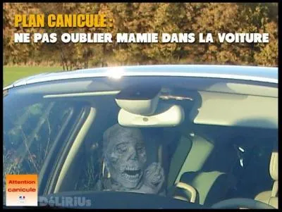Bien sûr, lors de fortes chaleurs intenses, pensez à ne pas laisser enfermé (même pour une courte durée) dans votre voiture :