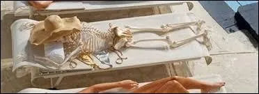 Lors d'une canicule, quels sont les deux principaux risques encourus pour les personnes ?