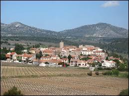 Commune languedocienne de l'arrondissement de Perpignan, Cases-de-Pène se situe dans le département ...