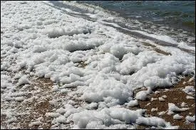 Que signifie l'expression "la mer moutonne" ?