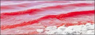 Laquelle de ces mers n'existe pas ?