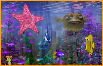 Et comment s'appelle la petite étoile de mer qui vit avec lui ?